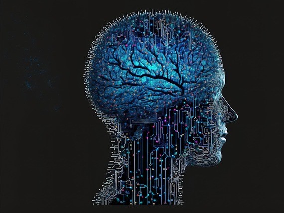 human brain